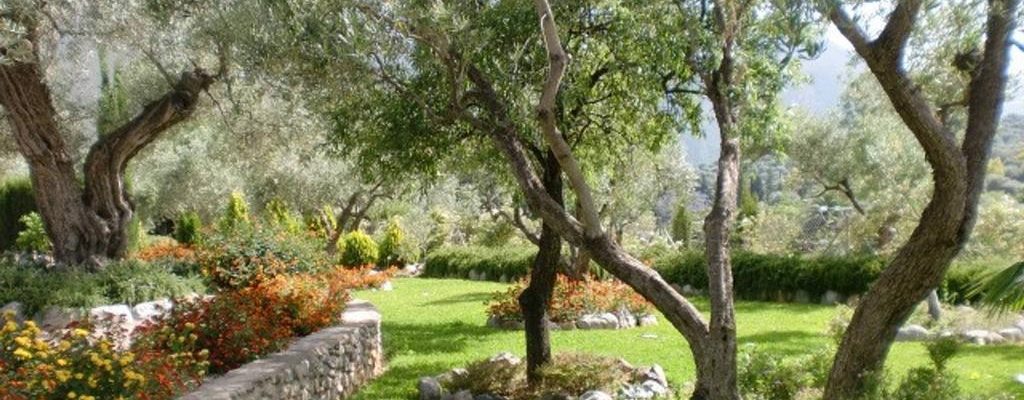 Alpujarras Orgiva Village 28724