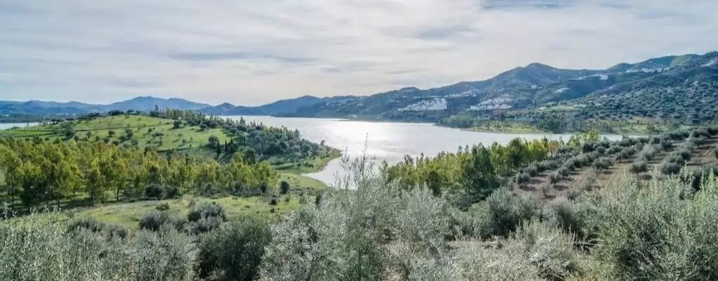 Viñuela Lake Cottages 28558
