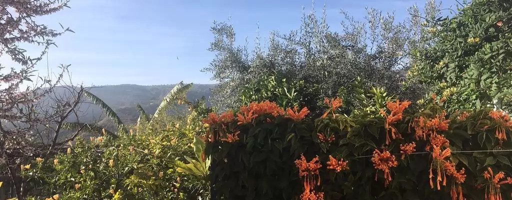 Otivar Granada Village House 44083