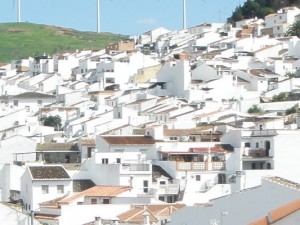 Enjoy tapas and see the local life