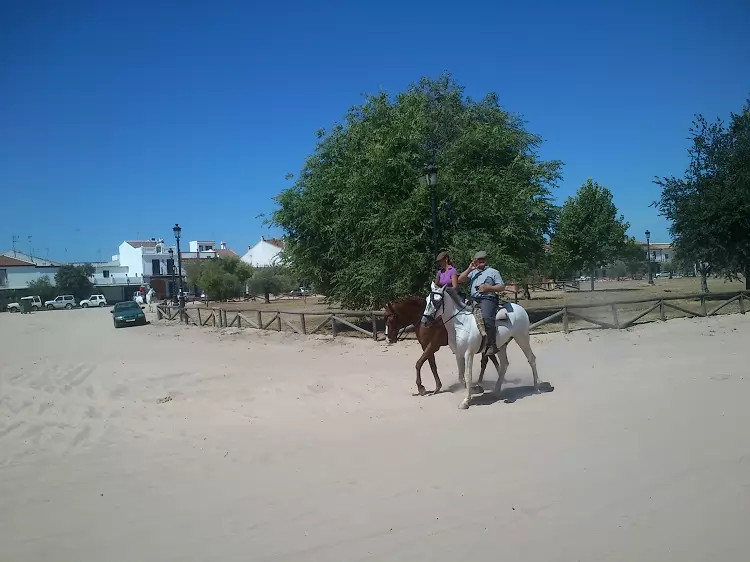 Horses in the streets of El Rocio by Doñana National park