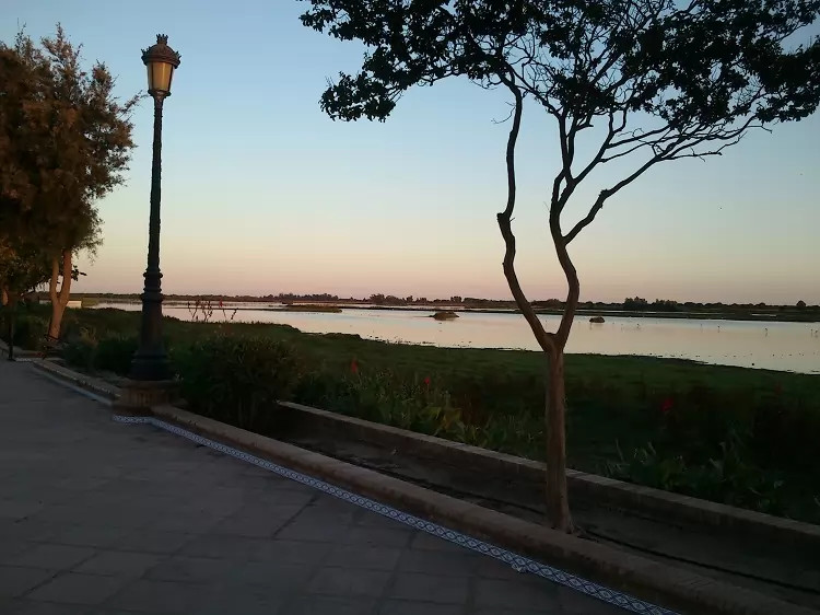 Wetlands of Doñana seen from the promenade in El Rocio