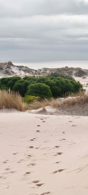 Doñana National Park