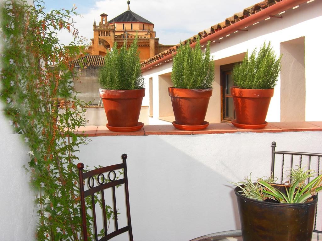 Great Duplex For 4-7 Persons With Terrace, Swimming Pool And Wifi, Next To The Mezquita Of Cordoba