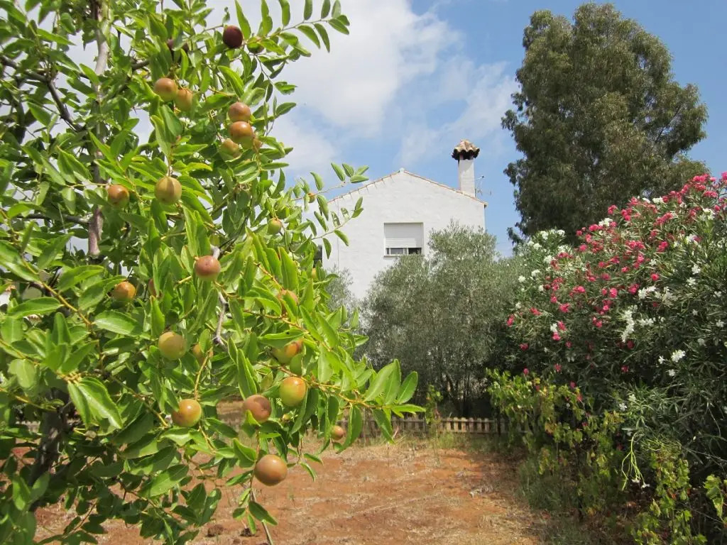 Very Nice Country House For 4-5 Persons In The Picturesque Valley Of Vejer De La Frontera
