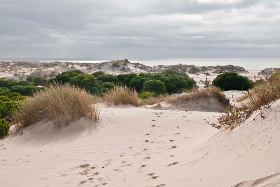 Doñana National Park