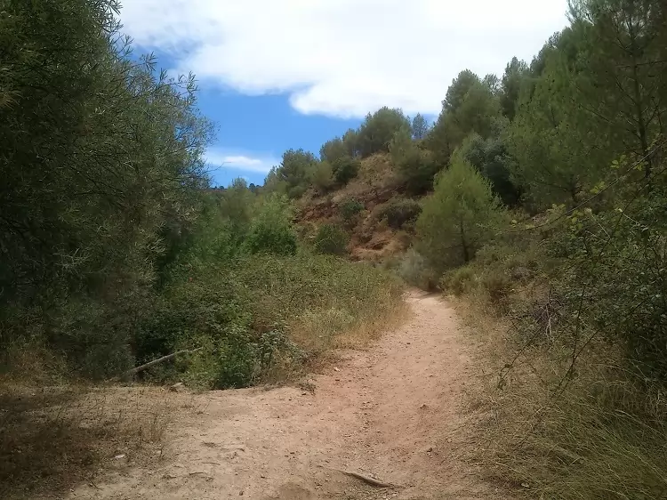 Enjoy the hidden rock pools in the Sierra de las Nieves Natural Park