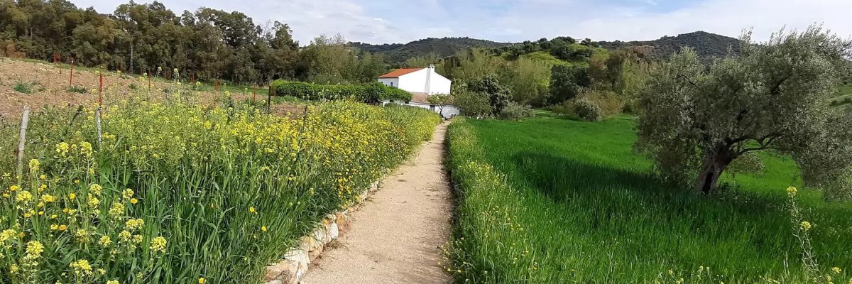 Olvera Country House 44524