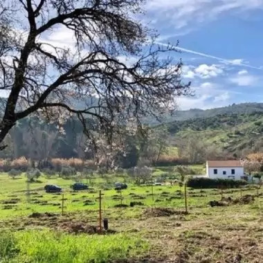 Incredibly beautiful country house