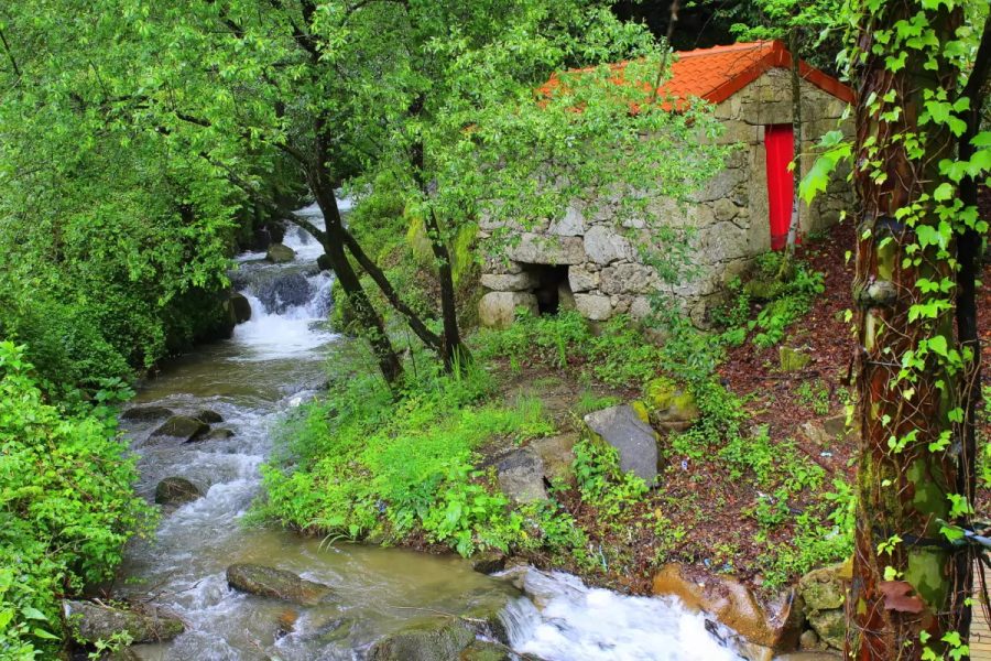 stone house by the river