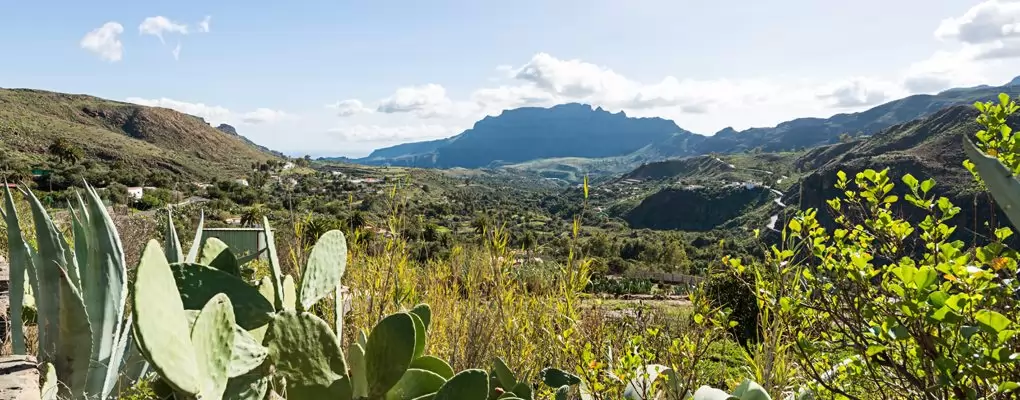 -Away from Mass Tourism on The Canary Islands