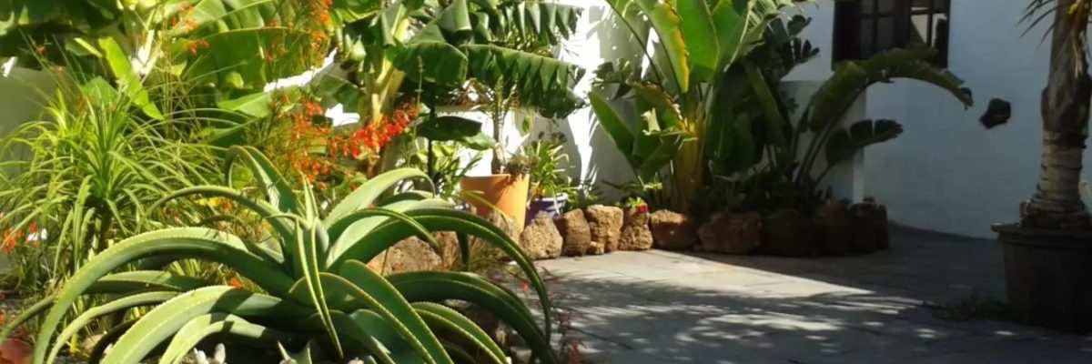 Canary Islands Lanzarote Garden Apartment 50547