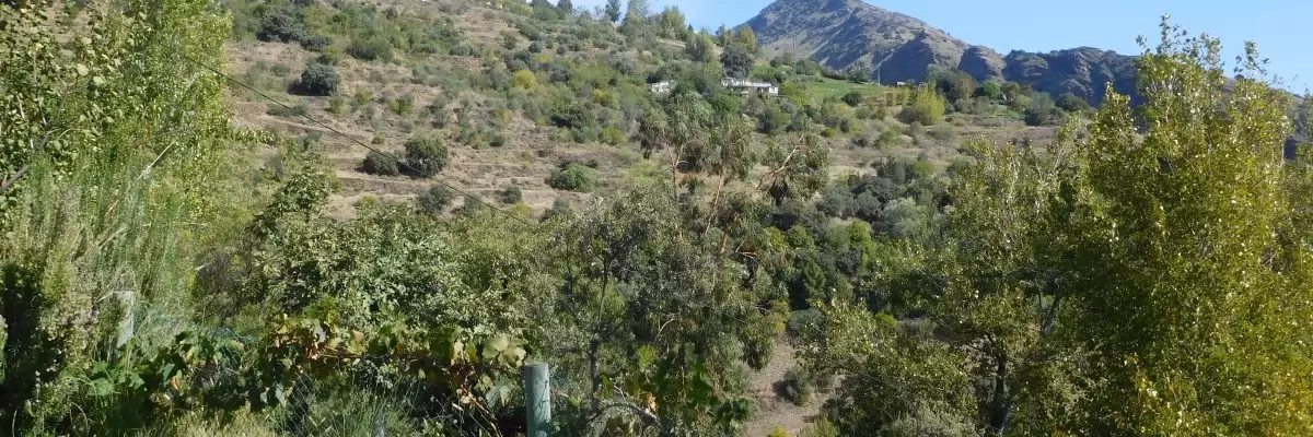 Andalusia Alpujarras Finca 49276