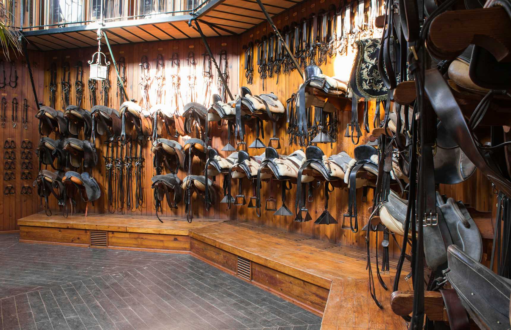 Royal Andalusian School of Equestrian Art, Jerez de la Frontera