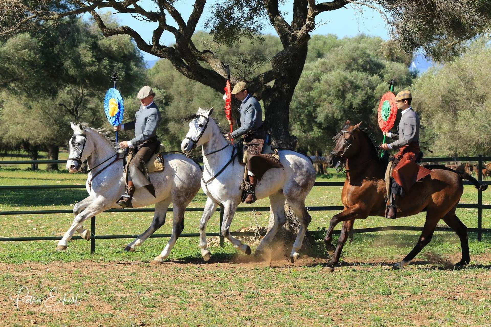 A Campo Abierto, Cadiz