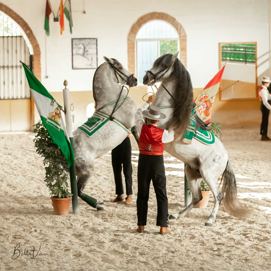 Club Hipico El Ranchito, Torremolinos