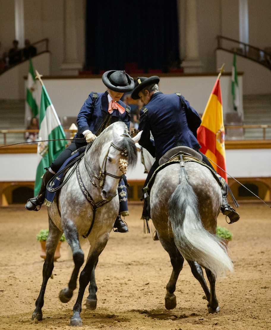 Royal Andalusian School of Equestrian Art, Jerez de la Frontera